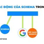 Schema Markup là gì? Cách dùng schema để tăng traffic