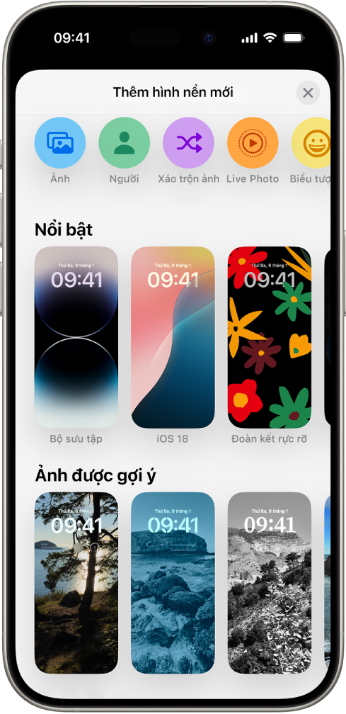 Lựa chọn ảnh gif đẹp