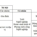 Phân tích hành vi người dùng và ảnh hưởng đến SEO