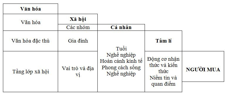 Phân tích hành vi người dùng và ảnh hưởng đến SEO