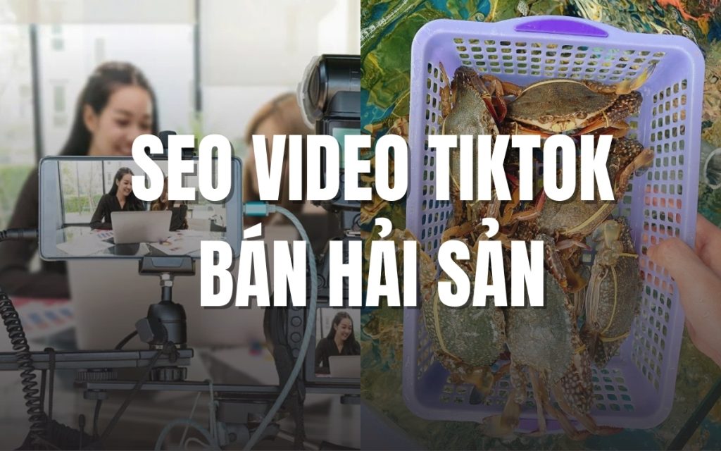 SEO Tiktok: Chiến lược tiếp cận khách hàng qua video ngắn